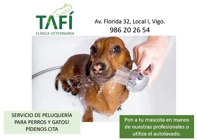 Clínica Veterinaria Tafí servicios veterinarios